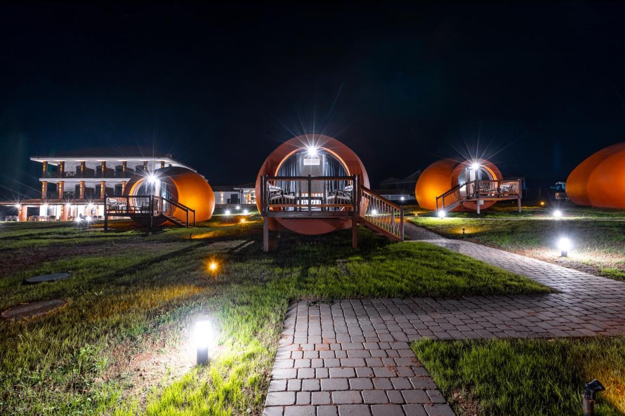 Hotel Qvevrebi *